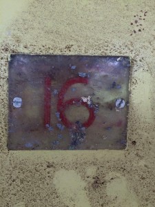 11694018_10153268257930168_4977442555929274239_n